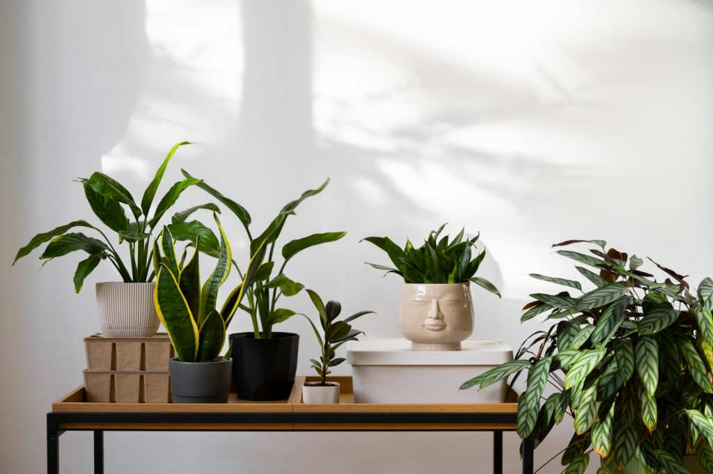 estilos de interiores modernos